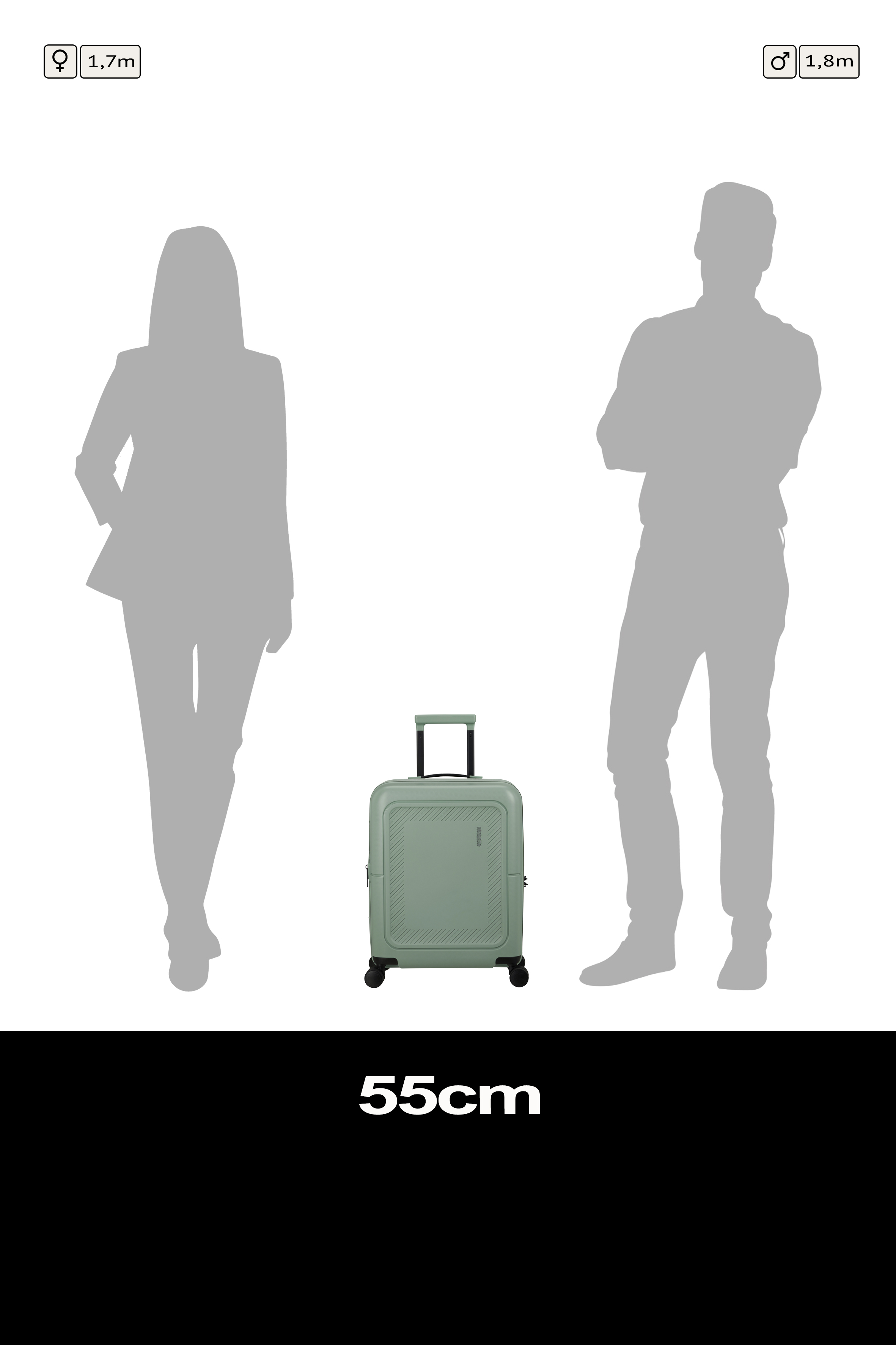 Dashpop Spinner 55/20 Expandable TSA