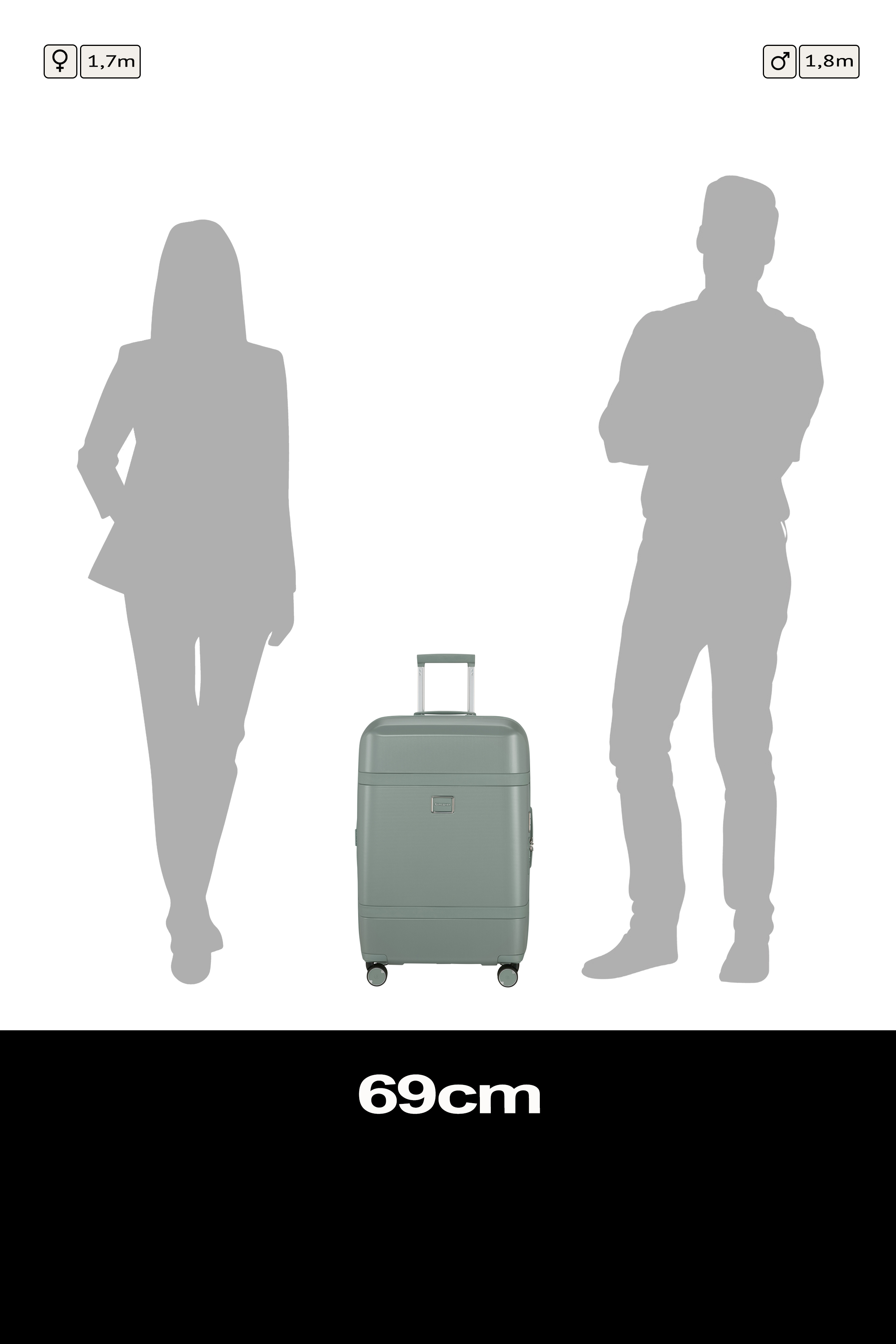 Image Spinner 69cm Expandable